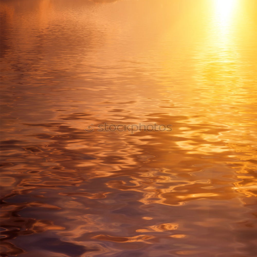 Similar – Image, Stock Photo Dawn in Teufelsmoor near Worpswede