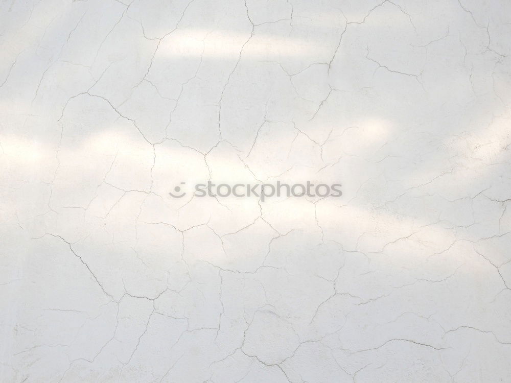 decor Wallpaper Fashioned