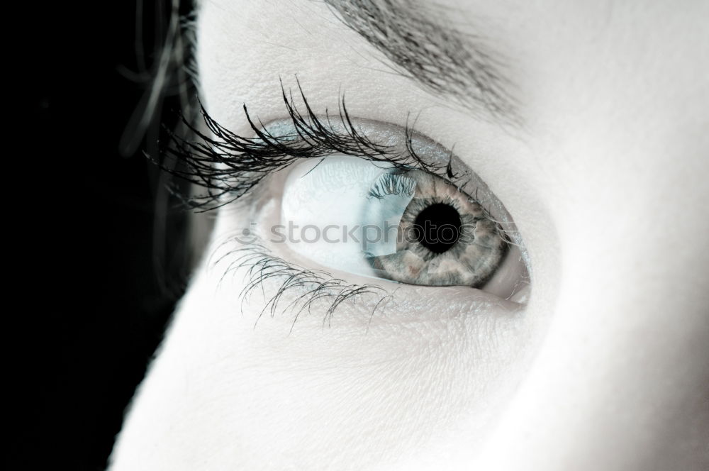 Similar – Image, Stock Photo Portrait of a young, freckled woman at the window