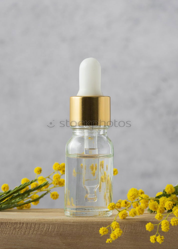 Similar – Image, Stock Photo Essential oil, with natural cherry flowers