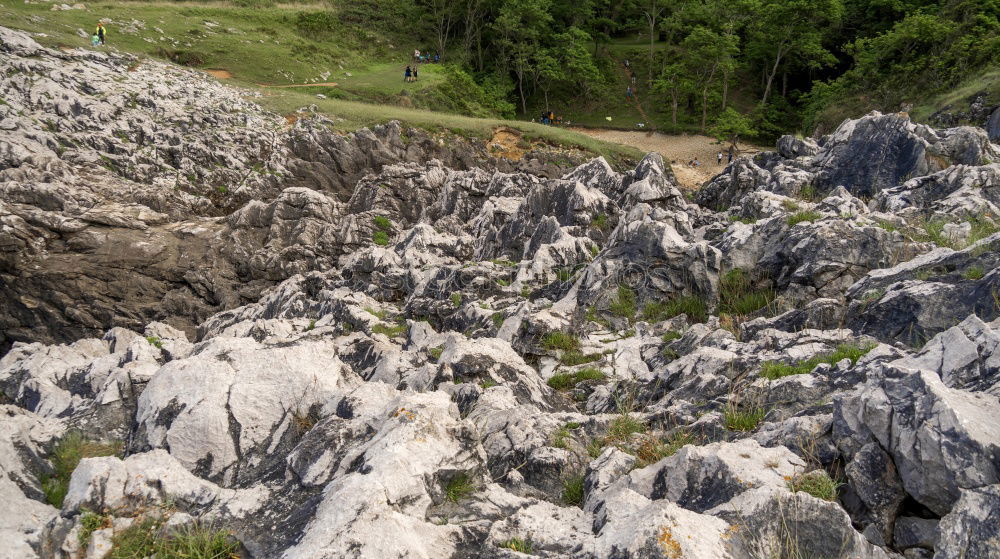 Similar – Image, Stock Photo Young woman alone in a mountain