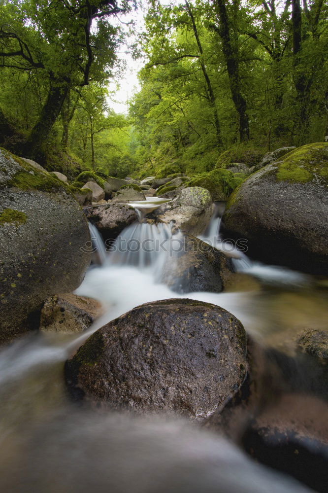 Similar – Natur pur Landschaft