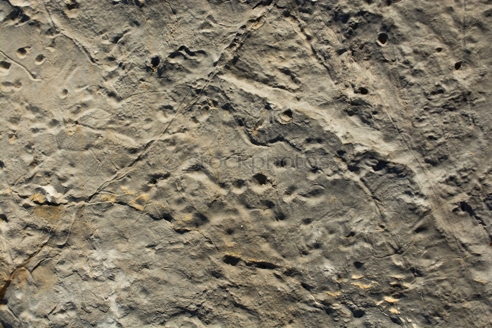 Similar – Foto Bild orange tristesse. Wand