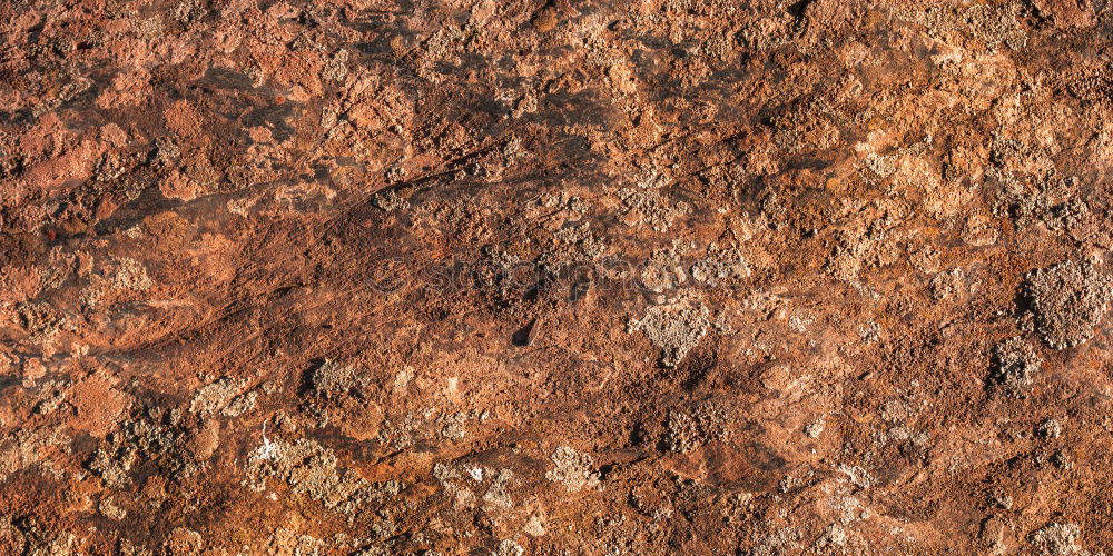 Similar – Foto Bild Uluru Natur Stein