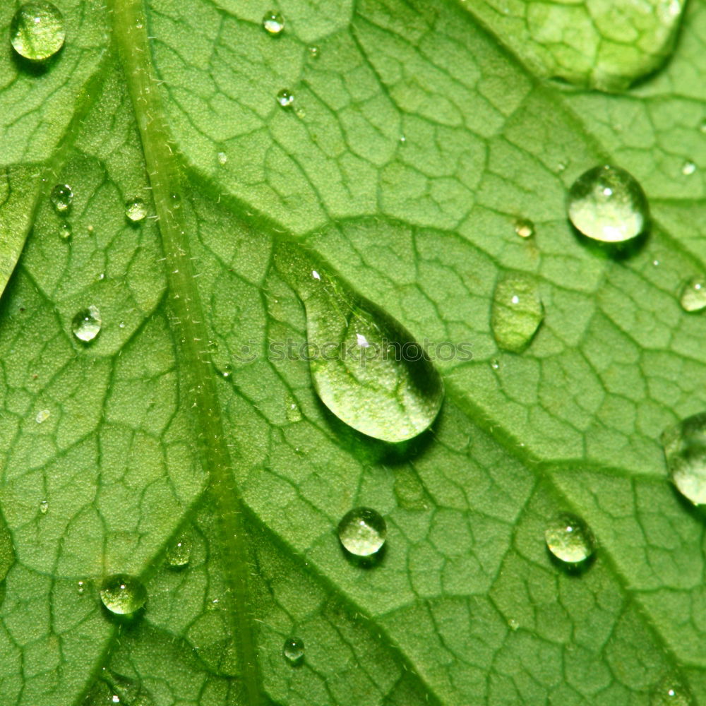 Similar – Waterdrops Wassertropfen