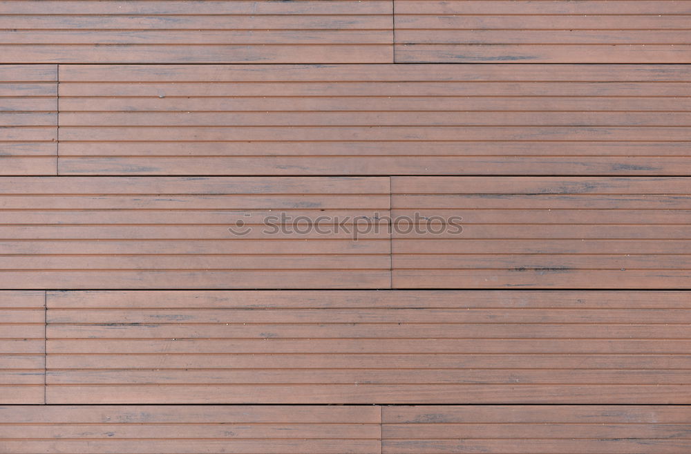 Image, Stock Photo city zebra Art Work of art