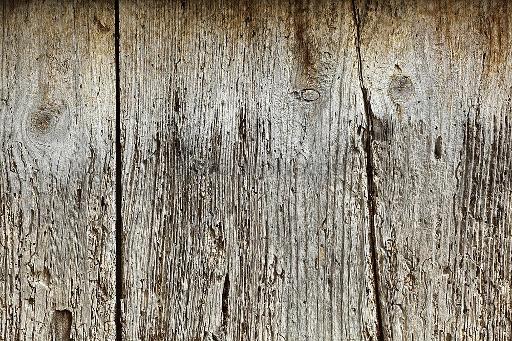 Similar – Image, Stock Photo Old wooden door Door