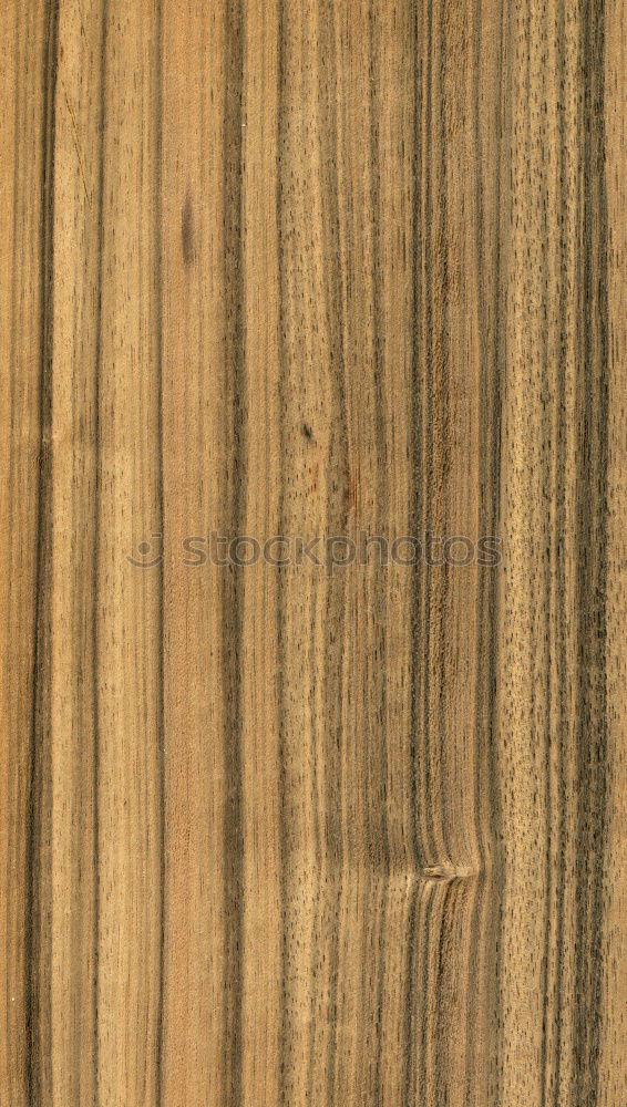 Similar – Image, Stock Photo wood grain surface Grain