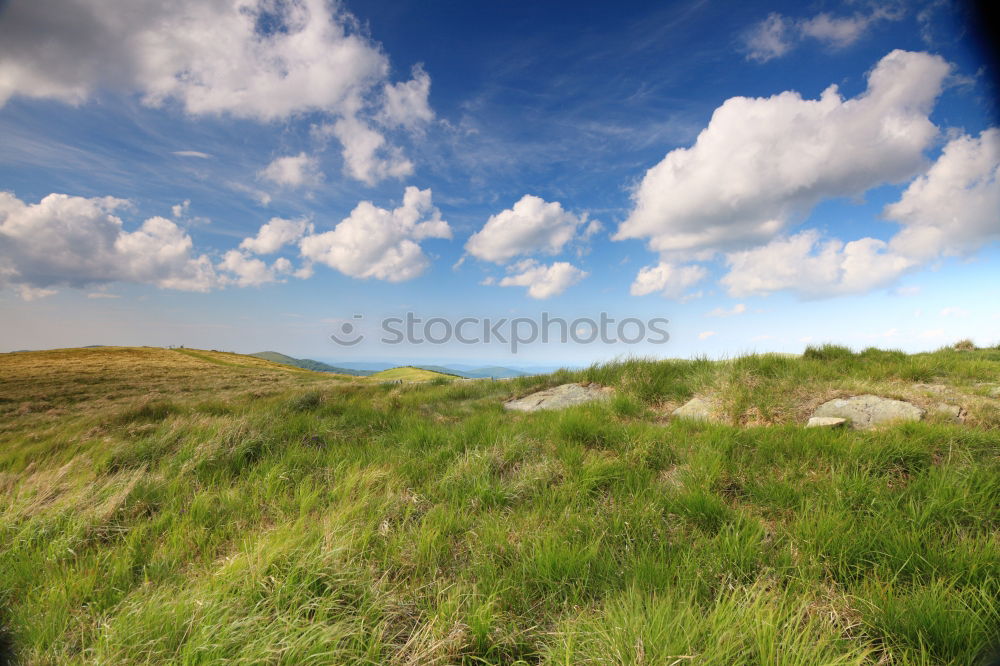 Similar – Image, Stock Photo View of Lake Maggiore in summer