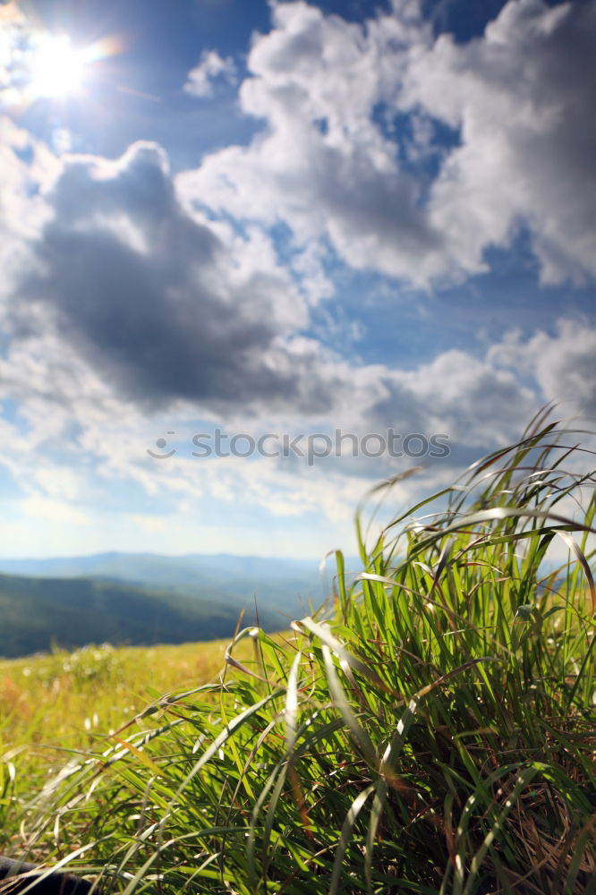 Similar – Image, Stock Photo Rear view, Young woman with hiking rucksack in green forest