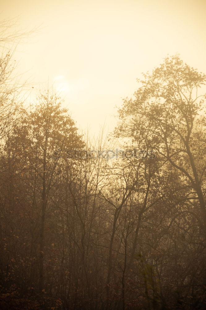 Similar – Sky after Rain Dach Wolken