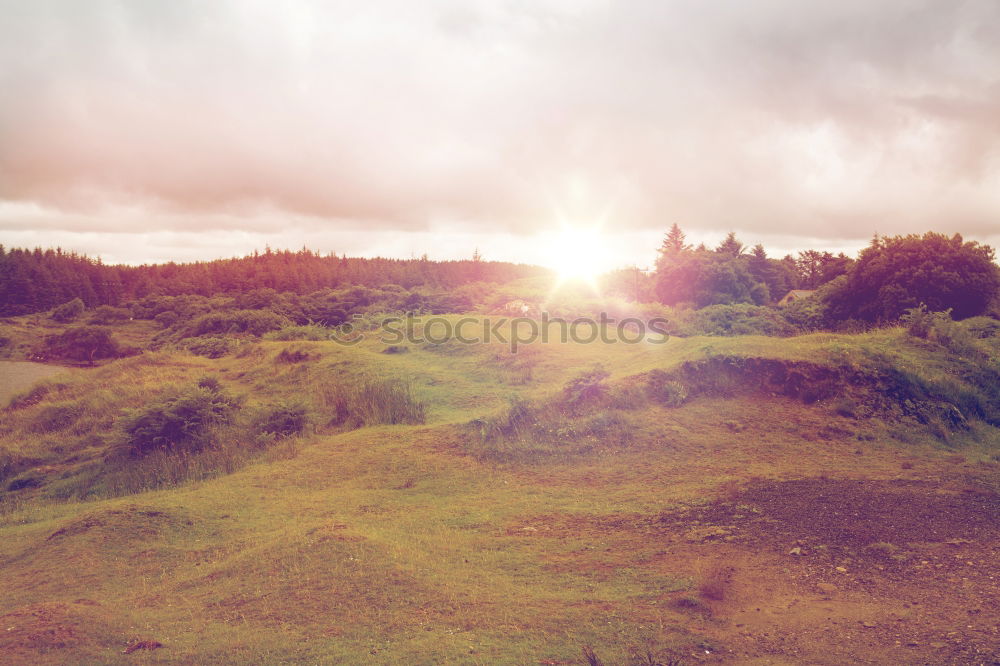 Similar – Image, Stock Photo It’s so green… Amrum