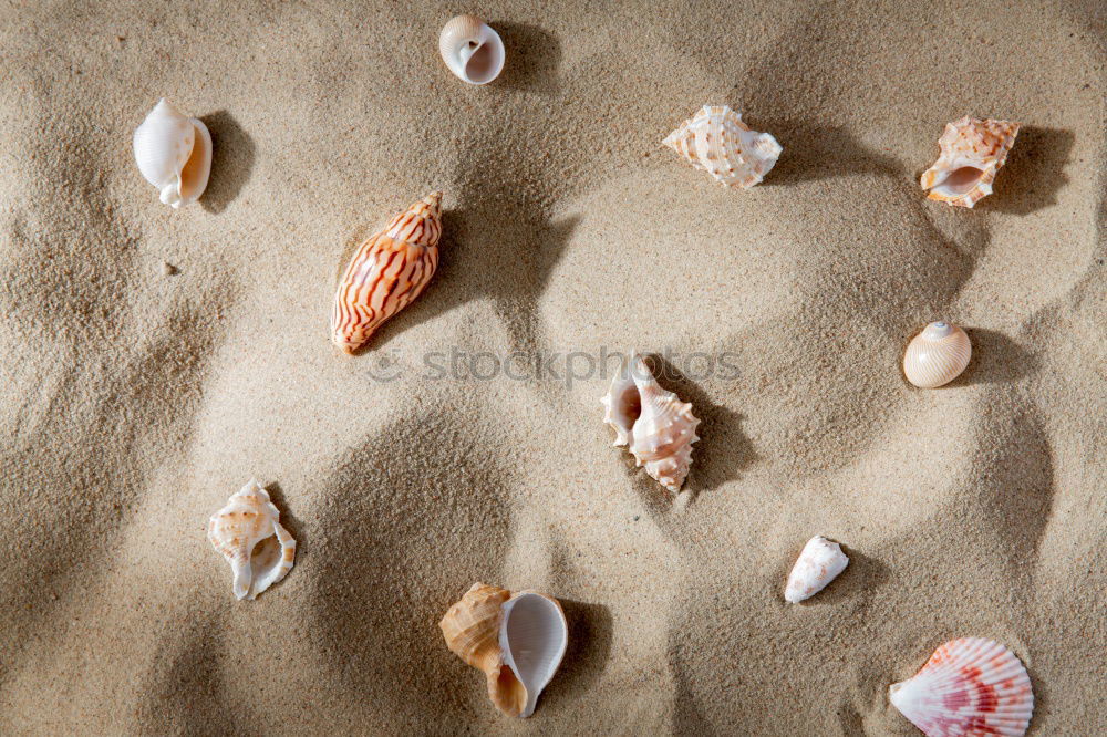 Similar – Image, Stock Photo flotsam and jetsam