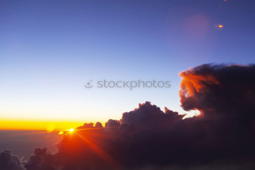 Similar – Image, Stock Photo Standalone tree #2 Nature
