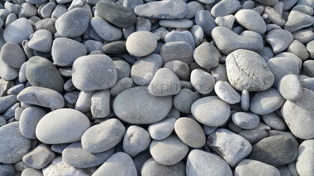 Similar – Image, Stock Photo stony beach Beach