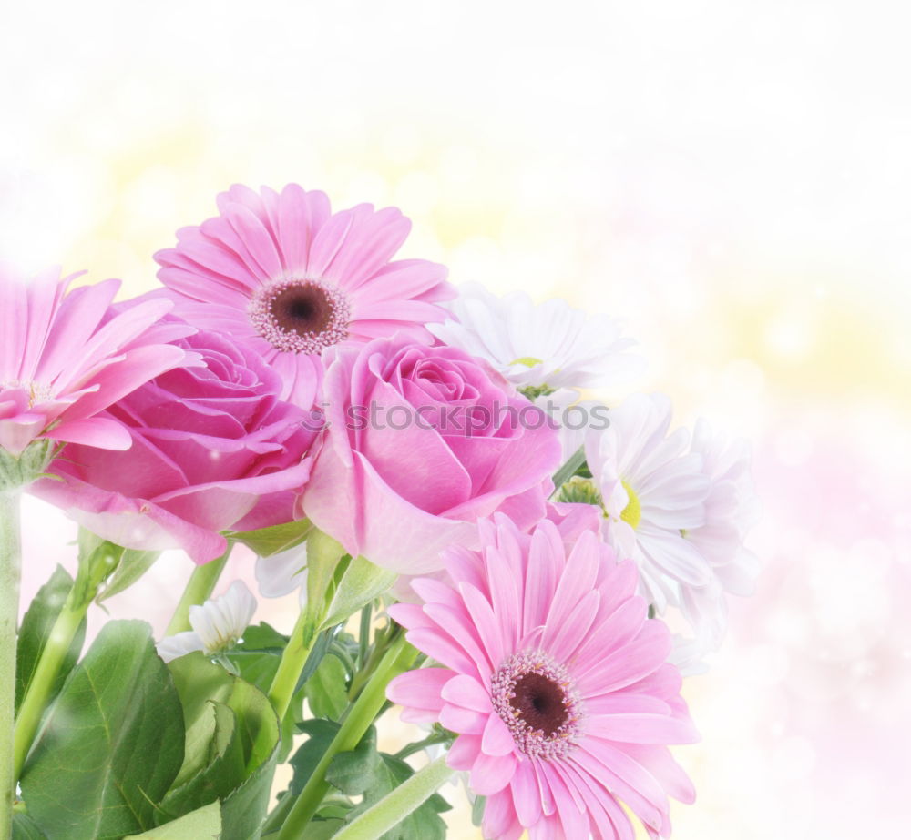 Similar – Flowers with bows on white wooden table