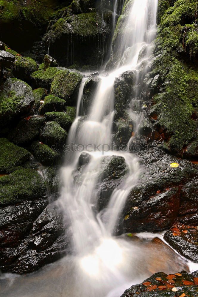 Similar – Image, Stock Photo chilling Nature Water