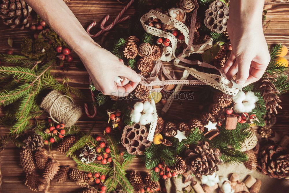 Similar – Image, Stock Photo Vegan truffle pralines with ingredients for Christmas