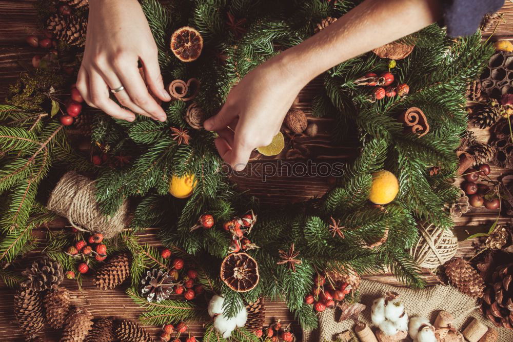 Similar – Image, Stock Photo Crop person cutting twigs