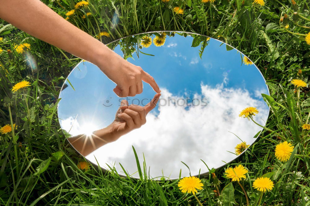 Image, Stock Photo snip Gardening Botanist