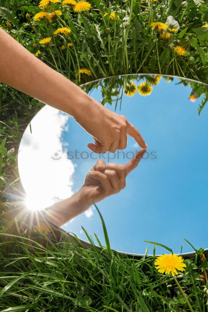 Similar – Image, Stock Photo Autumn Flowers Decoration Make