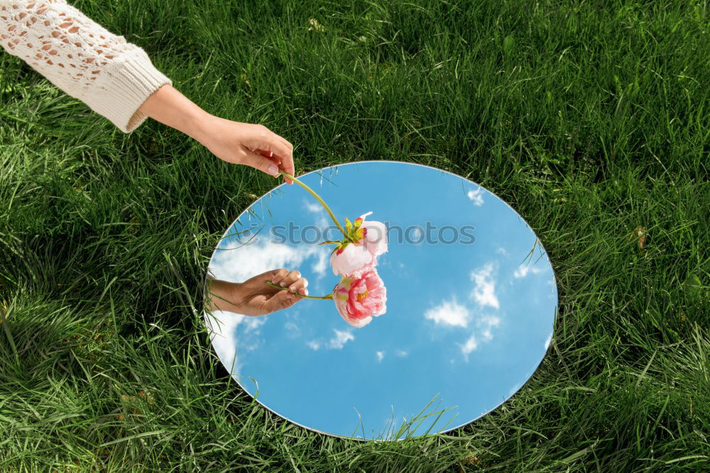 Similar – Image, Stock Photo tablecloth Summer Meadow