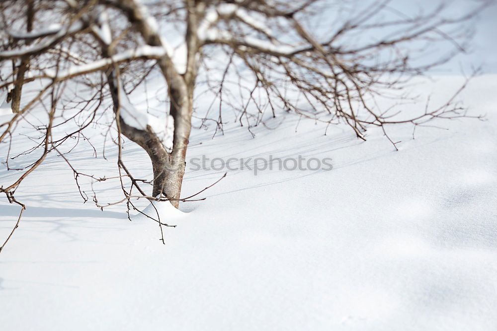 Similar – Image, Stock Photo winter art Nature Water