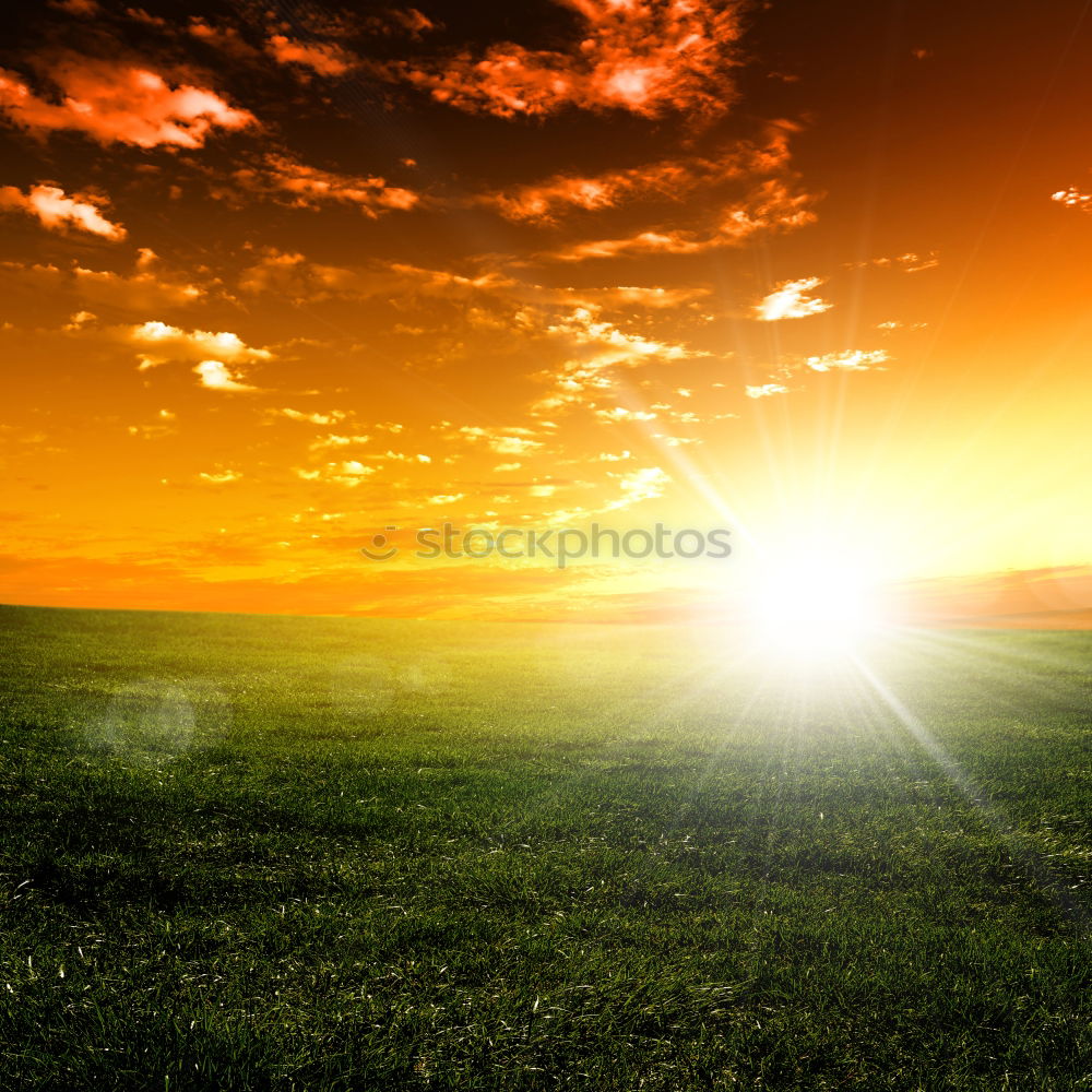 Similar – Image, Stock Photo I see the world in ruins.