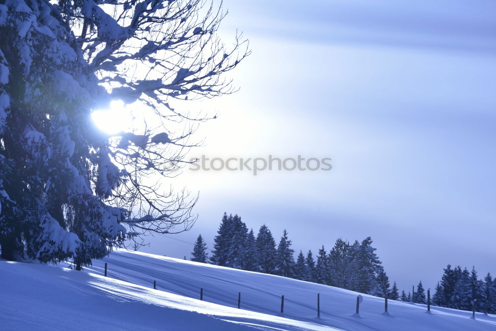 Similar – Skiparadies Tiefschnee