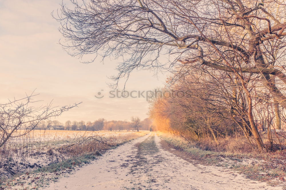 Similar – Image, Stock Photo Coastline in the morning sunrise with frost