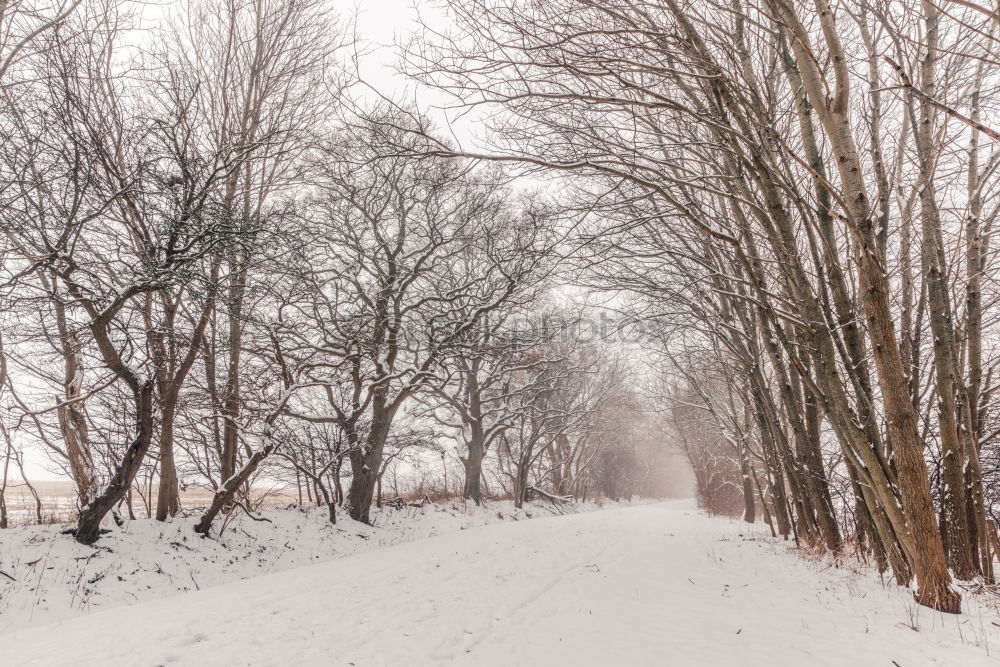 Similar – Fence in a winter scenery