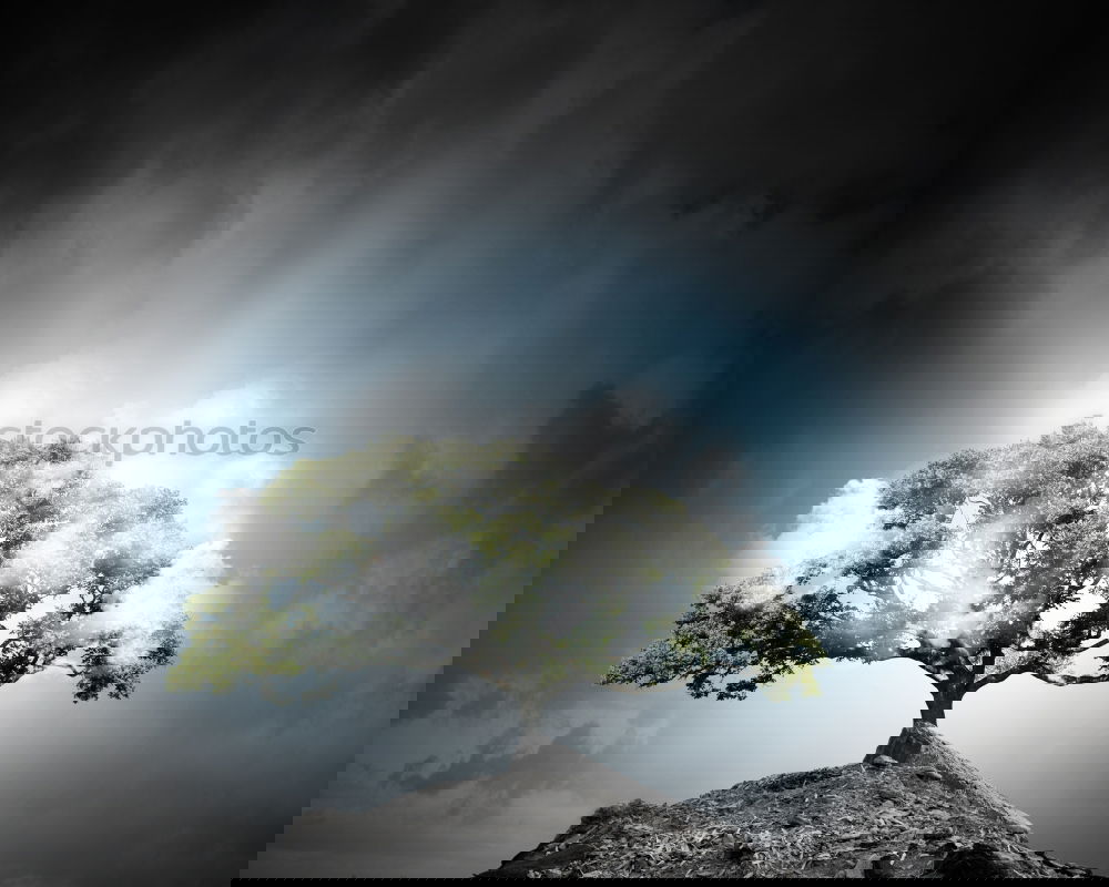 Similar – Image, Stock Photo Wind and weather. Ocean