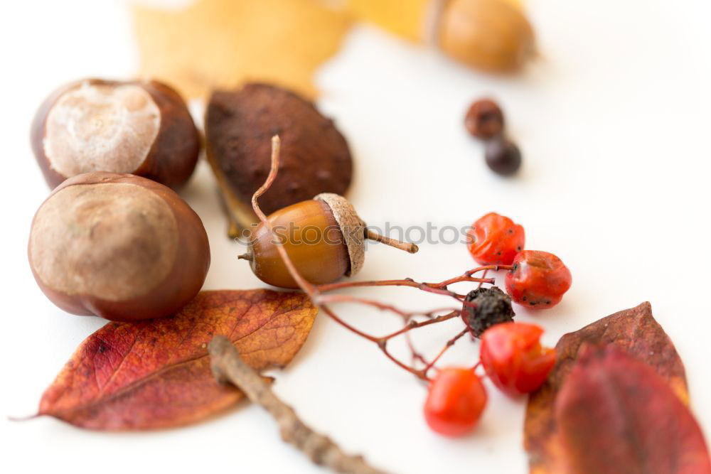 Similar – Image, Stock Photo Four friends. Food