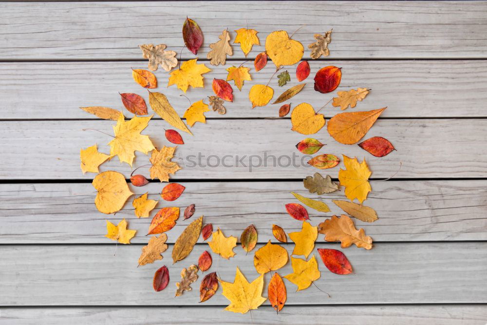 Similar – Image, Stock Photo osterkranz the fourth Wood
