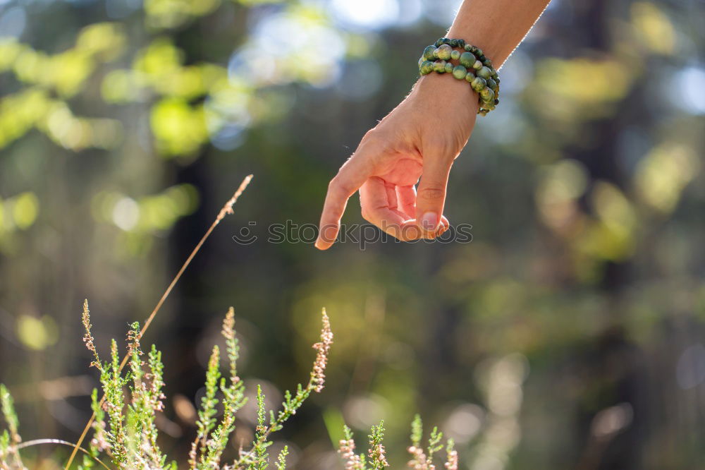 Similar – Image, Stock Photo Child touching soil in mothers hand