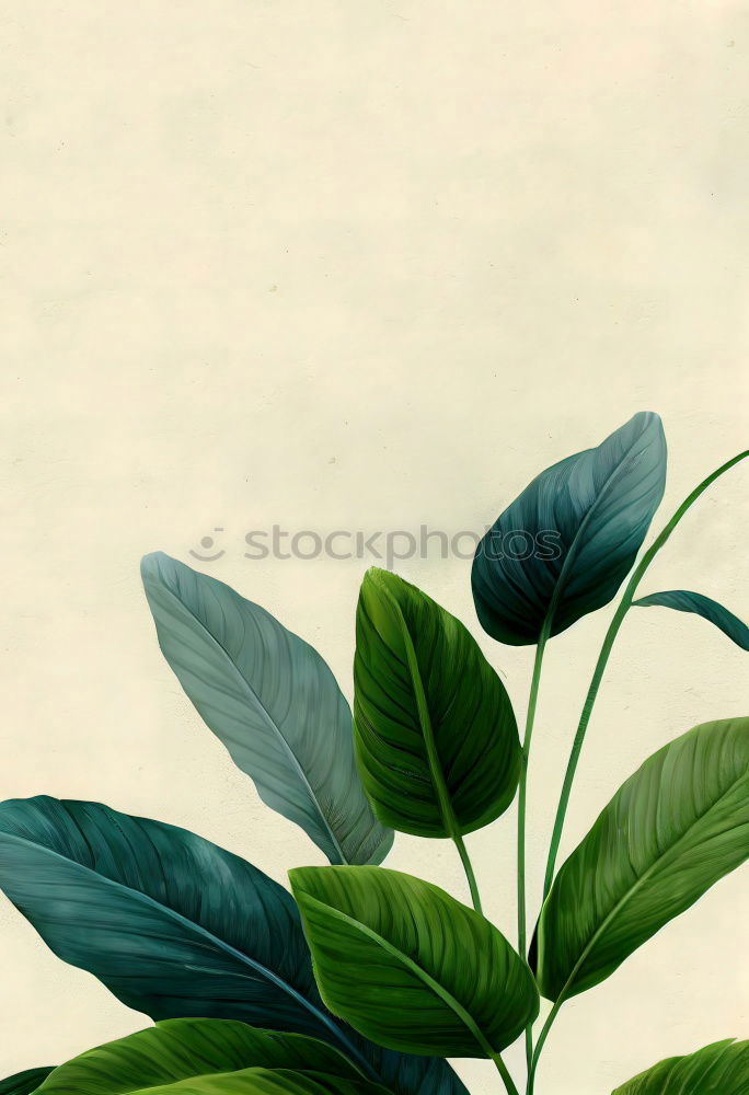 Similar – Vinca minor Evergreen