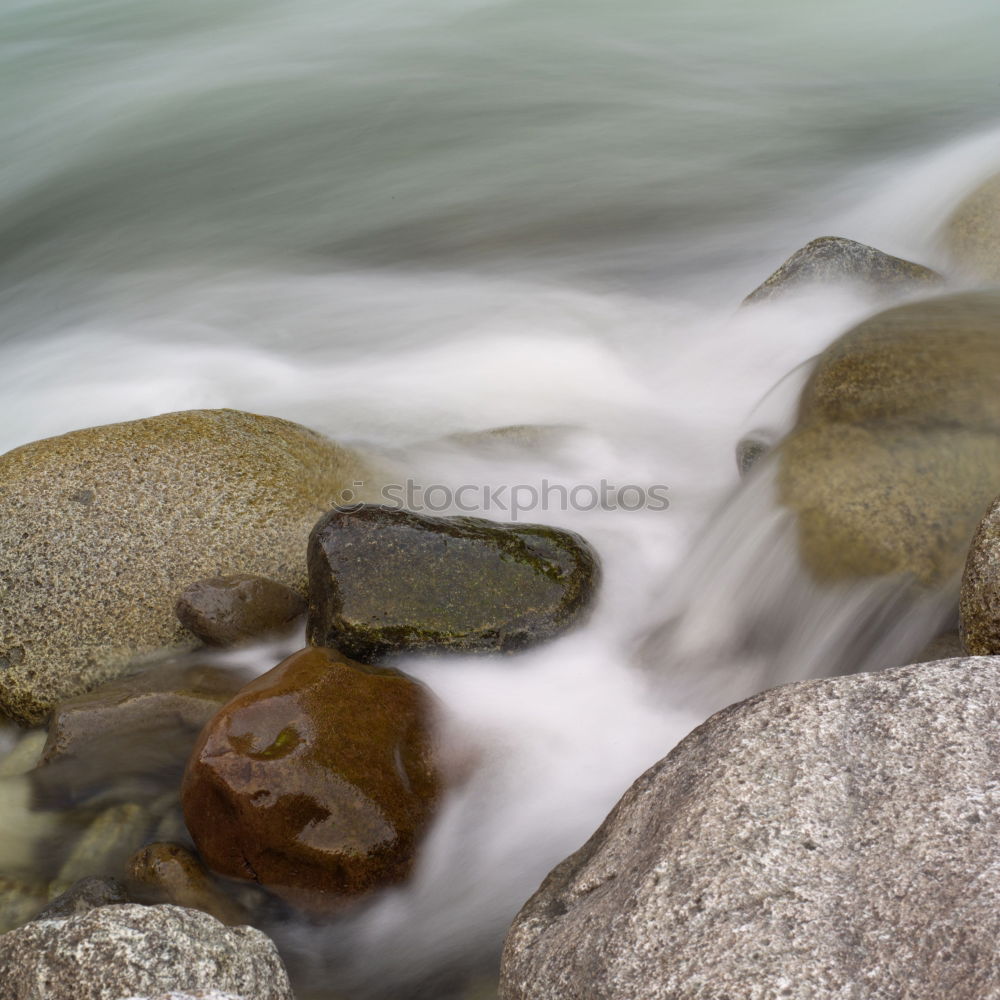 Similar – Image, Stock Photo spiderfalls Leaf Autumn