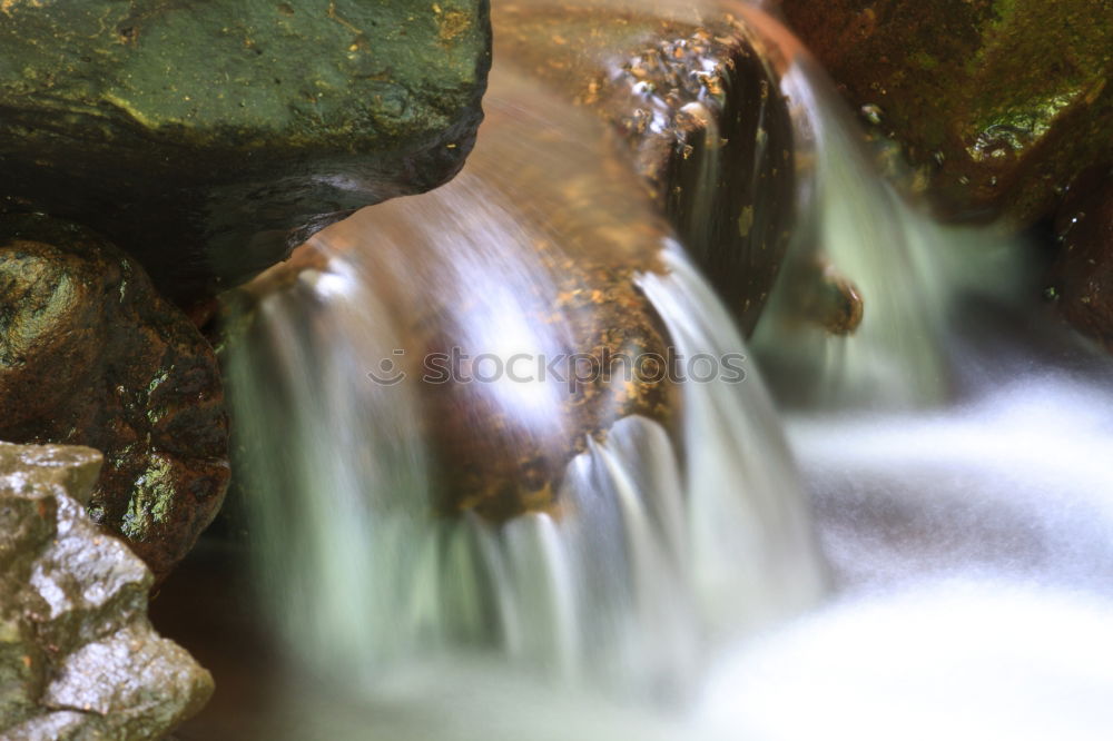 Similar – Image, Stock Photo spiderfalls Leaf Autumn