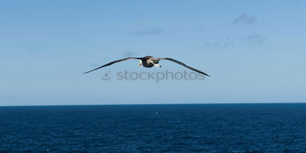 Similar – Vestmannaeyjar | Iceland