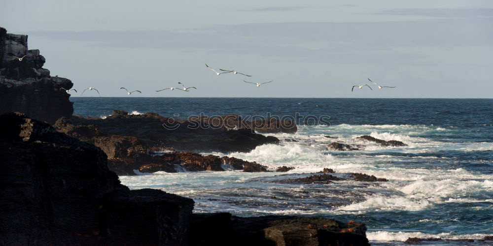 Similar – Waves of the Atlantic break foaming at the coast of Ireland