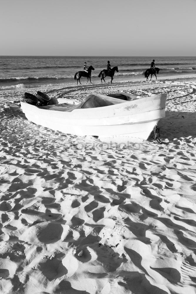 Silhouetten von drei Reitern bei Sonnenschein am Strand