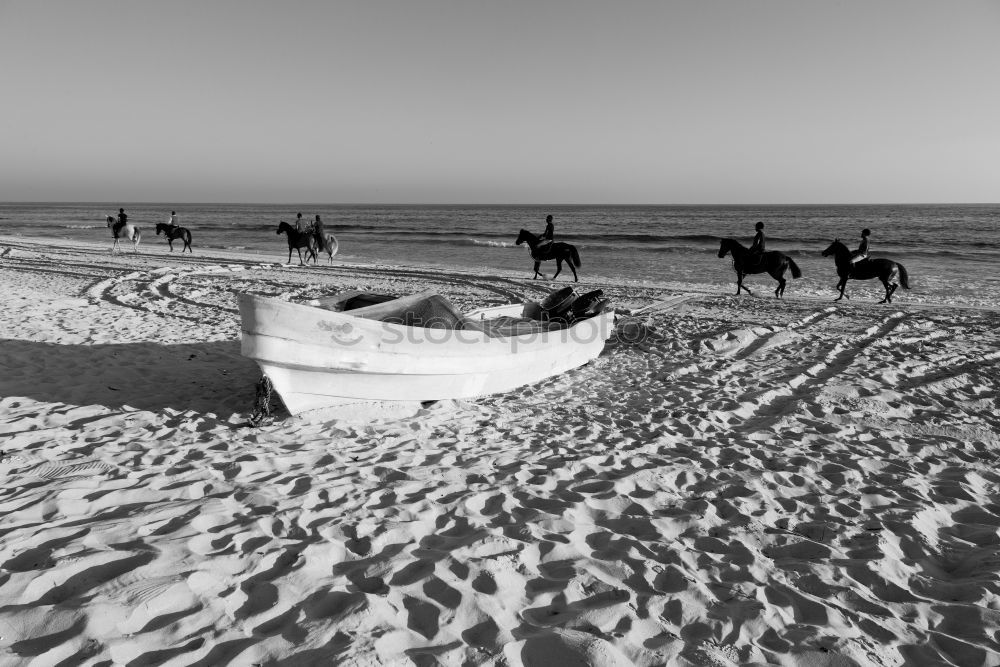 Similar – Silhouetten von drei Reitern bei Sonnenschein am Strand