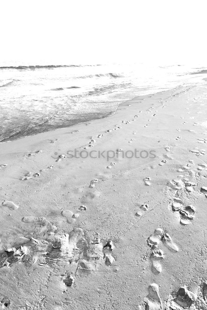 Similar – Image, Stock Photo leave traces Sea water