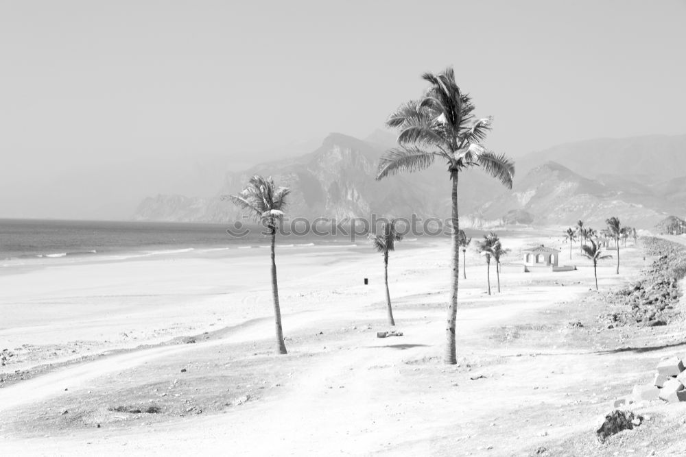 Similar – Foto Bild *urlaubstraum* Landschaft