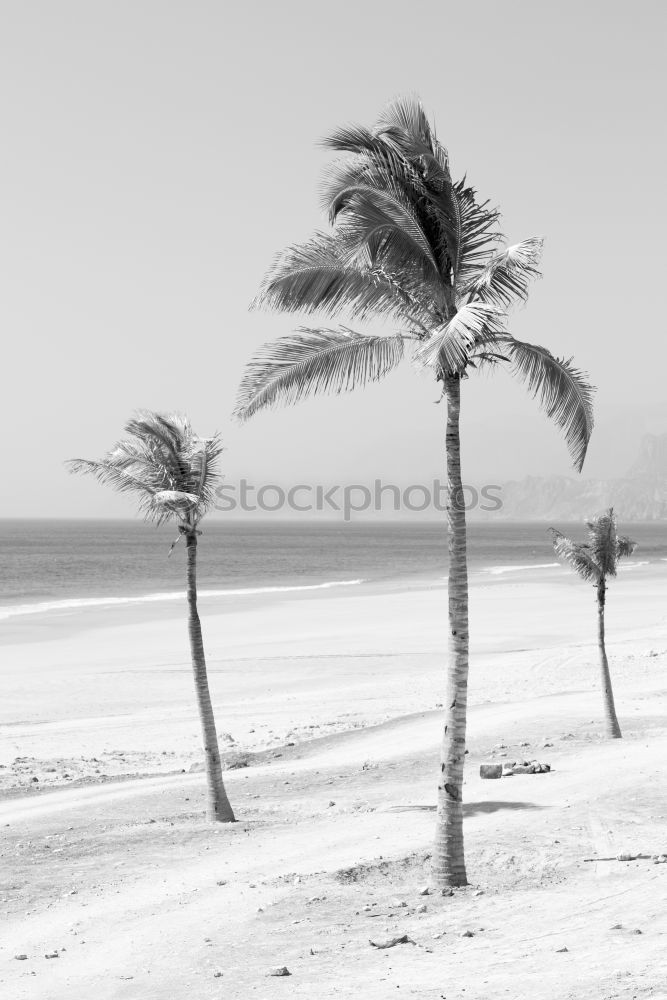 Similar – beach huts & sun beds