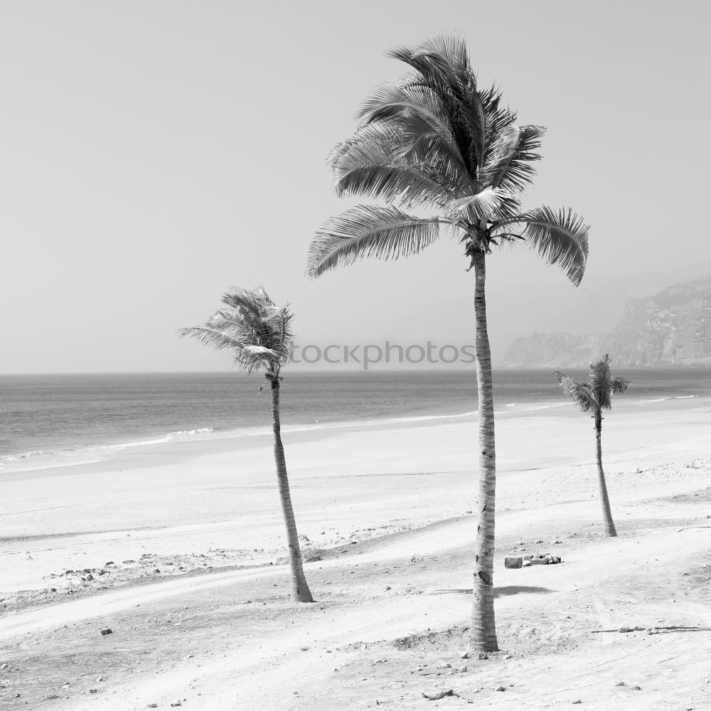 Similar – Foto Bild *urlaubstraum* Landschaft