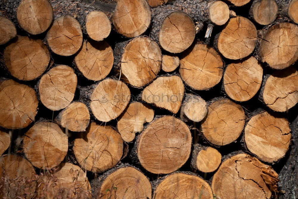 Similar – Image, Stock Photo Wood in front of the hut (II)