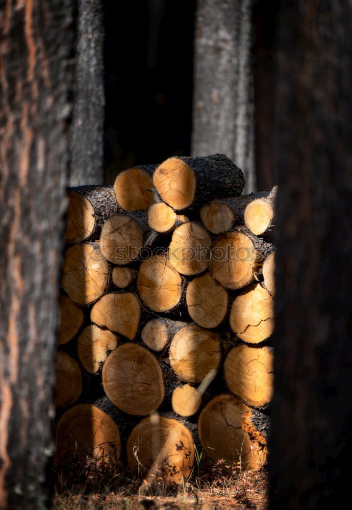 Similar – Holz vor der Hütte braun