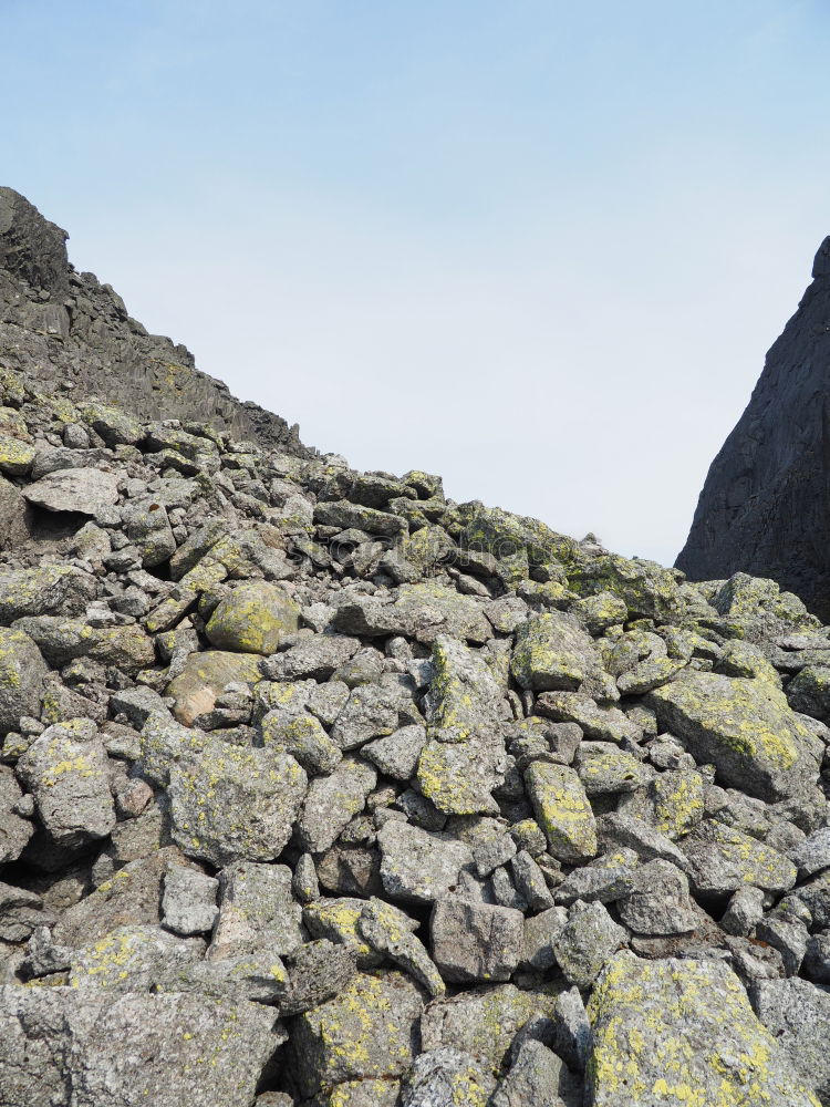 Similar – Foto Bild small people, big nature [1/5]