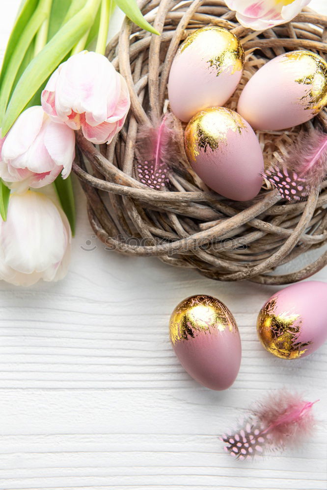 Similar – Image, Stock Photo Two white Easter eggs with red dots in the straw